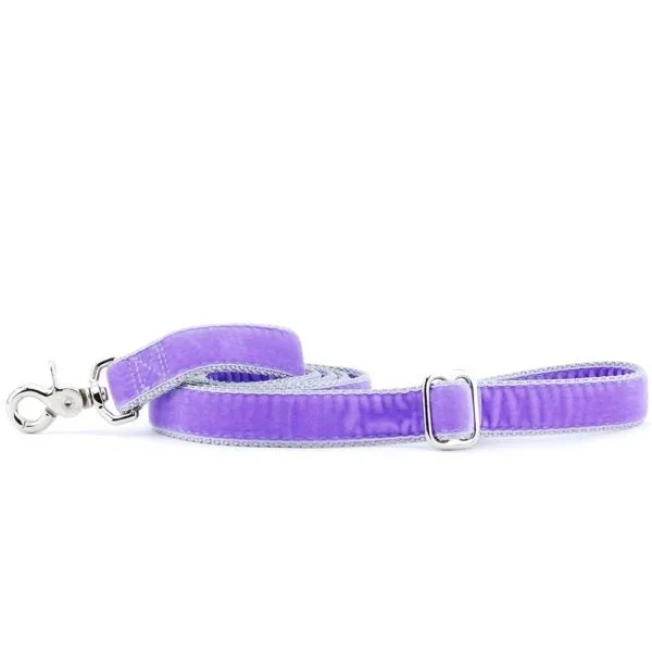 2 Hounds Design Dog Leash – 6′ – Lavender Velvet