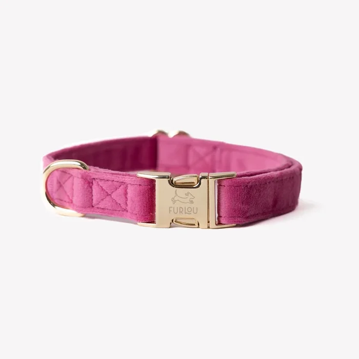 ‘Magenta’ – Velvet Dog Collar