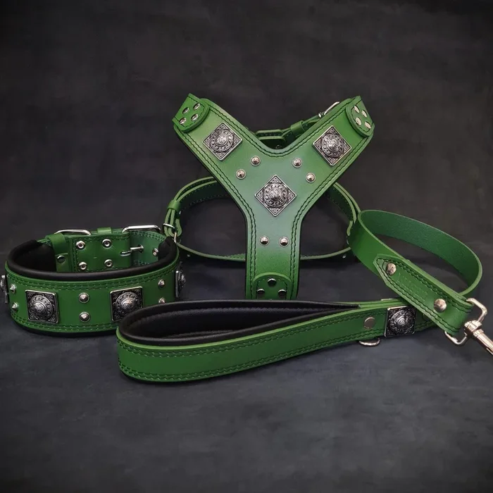 “EROS” BIG dog SET-Harnais-collier-plomb. Vert