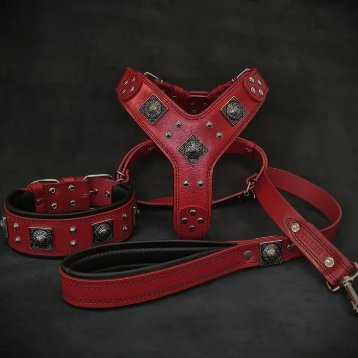 “EROS” BIG dog SET- Harness – collar – lead. Red