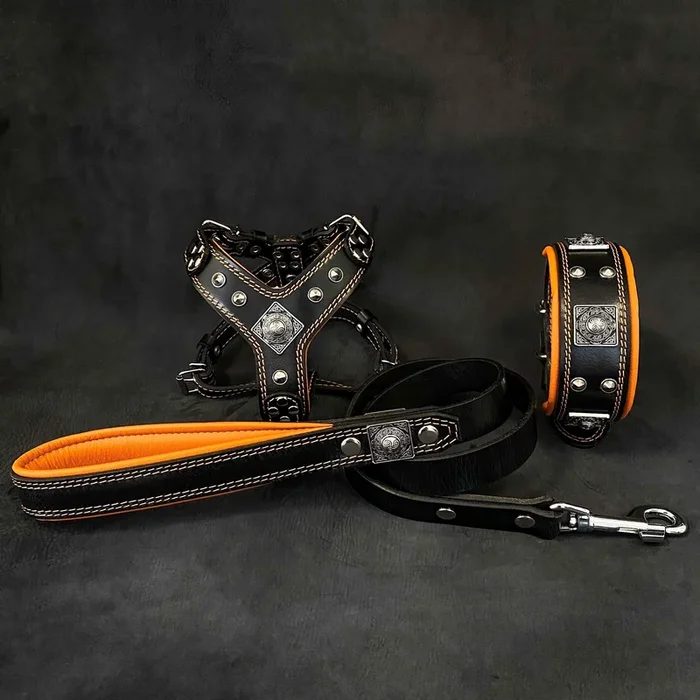 “EROS” Small to Medium dog SET – Harness – collar – lead Black&Orange