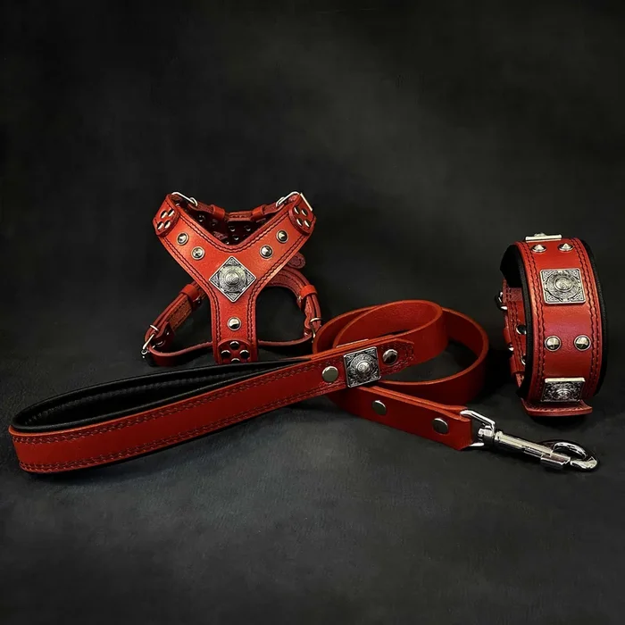 “EROS” Small to Medium dog SET – Harness – collar – lead. Red