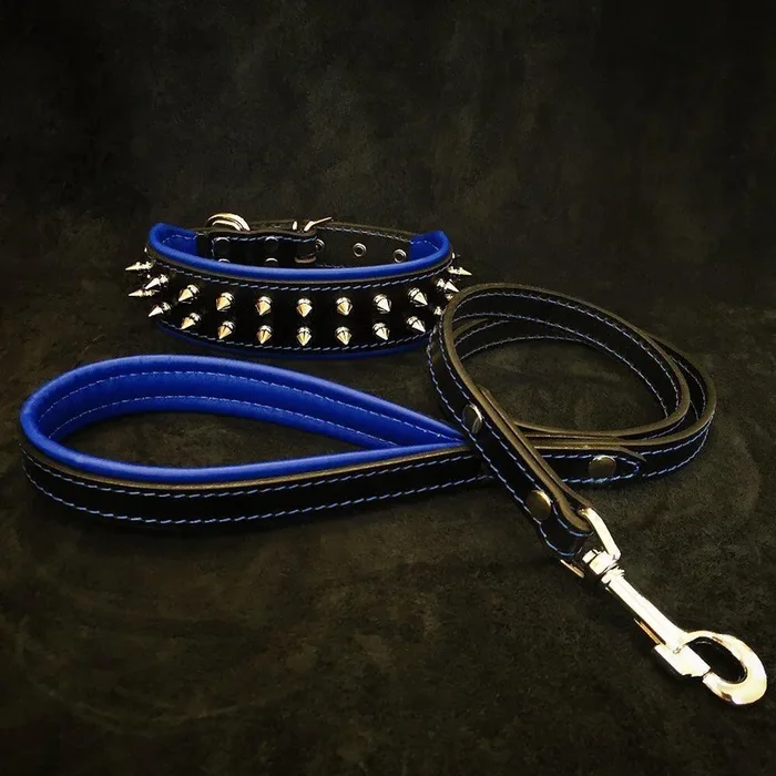 “Frenchie” Set- collar & leash. Blue