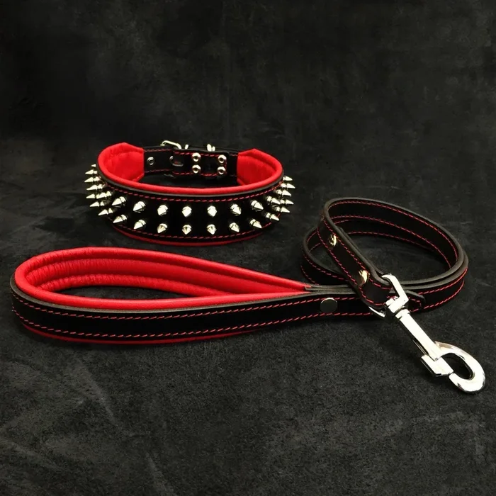 “Frenchie” Set- collar & leash. Red