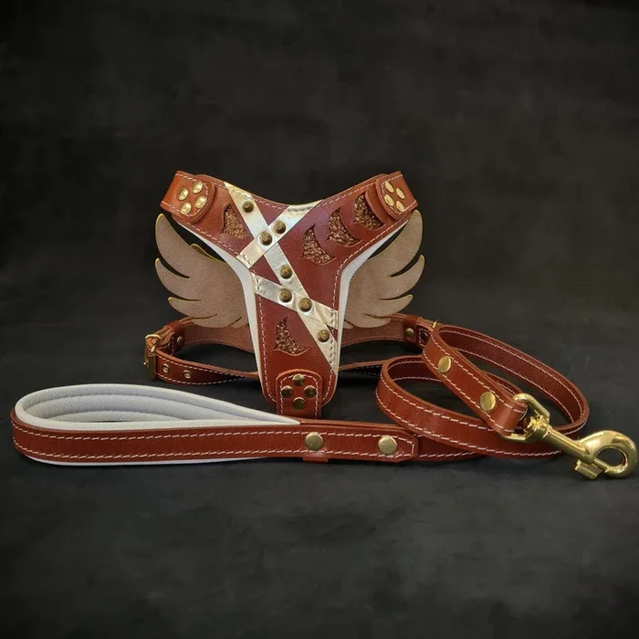 “Hermes” Set- harness & leash
