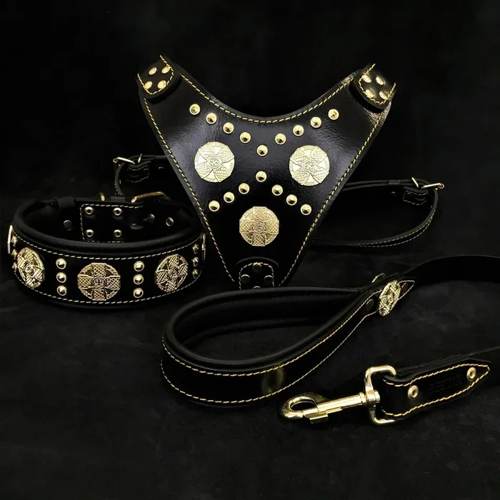 “Maximus Black” BIG dog SET-Collier-harnais-laisse. Rivets en laiton