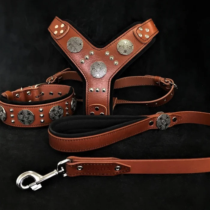 “Maximus Silver” BIG dog SET- Harness – collar – lead. Brown