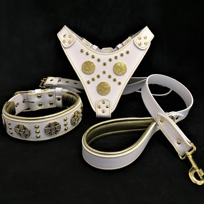 “Maximus White” BIG dog SET-Collier-harnais-laisse. Rivets en laiton