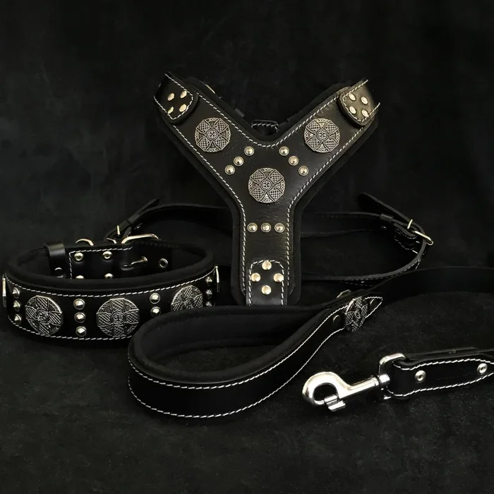 “Maximus Silver” BIG dog SET- Harness – collar – lead. Black