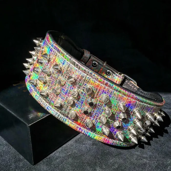 ”Chameleon” LIMITED big dog collar