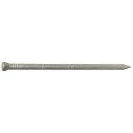 8D Galvanized Casing Nails, 2.5-In., 1-Lb.