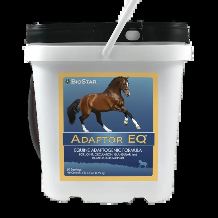 Adaptor EQ