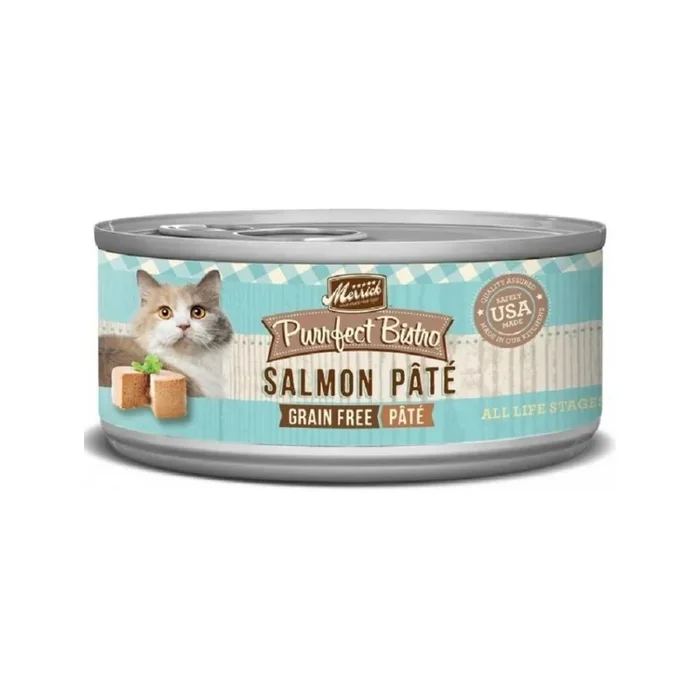 All Life Stages Grain Free Salmon Pate Cat Can
