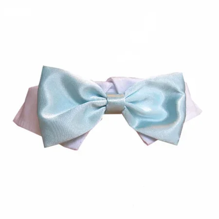 Aqua Satin Bow Tie Collar