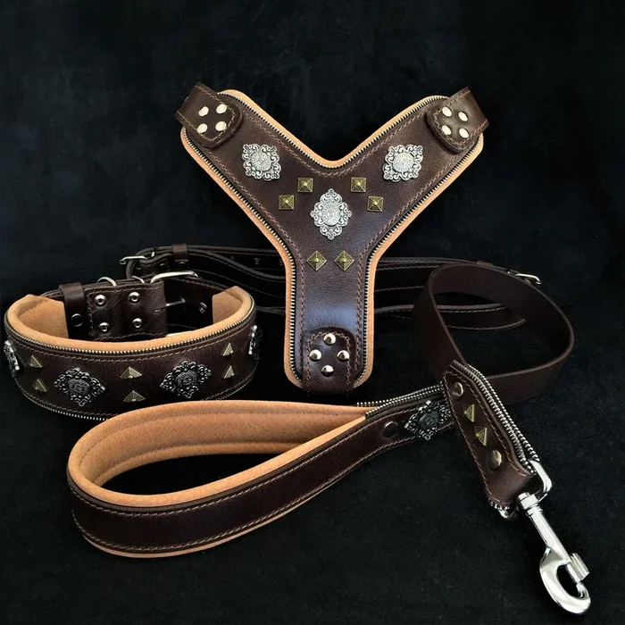 “AZTEC” BIG dog SET-Harnais-collier-laisse. brun
