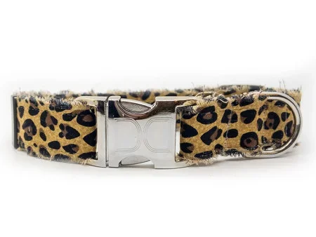 Bad Kitty Dog Collars