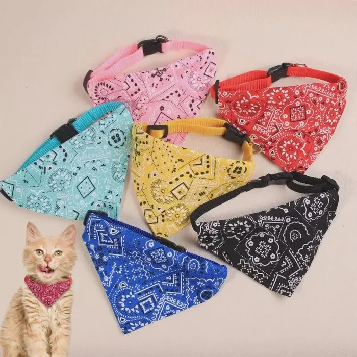 Bandana Cat Collar Asst