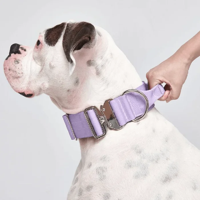Bellamy Waste Bag Holder & Treat Pouch