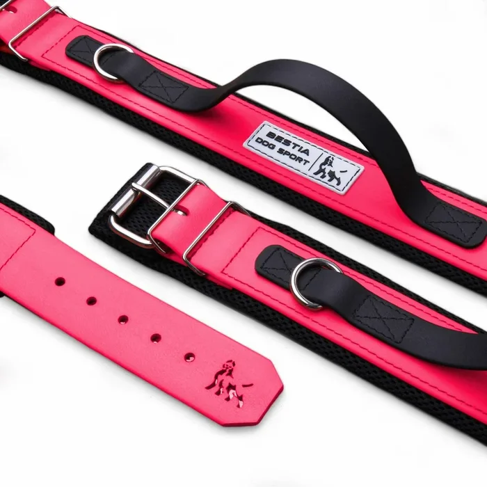 COLLARE CON MANIGLIA SPORTIVA PER CANI BESTIA ROSA NEON
