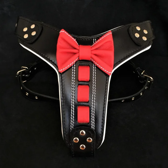 Bestia Ledergeschirr „Bowtie“.