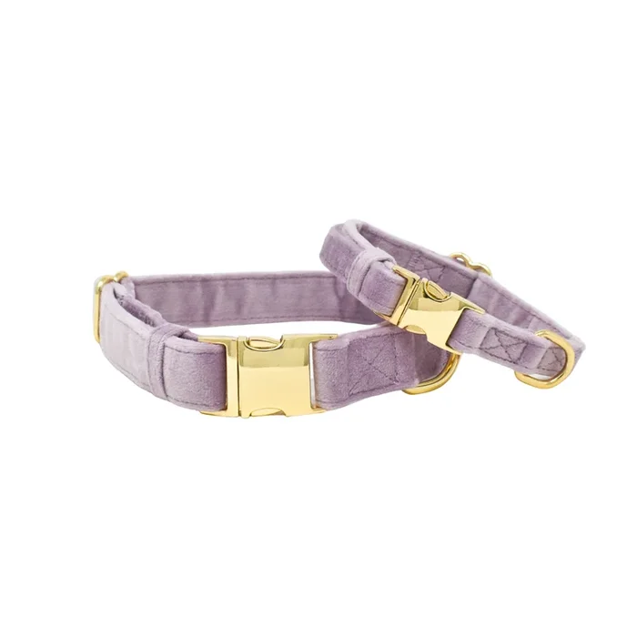 Billie Dog Collar