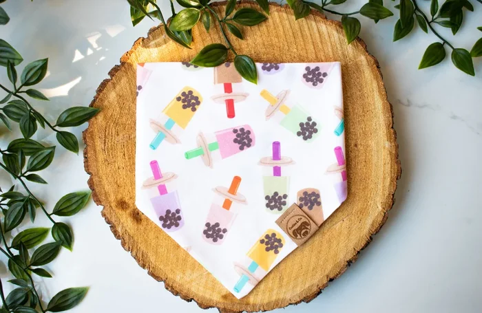 Boba Run – Dog Bandana Tie-On with Snap Buttons