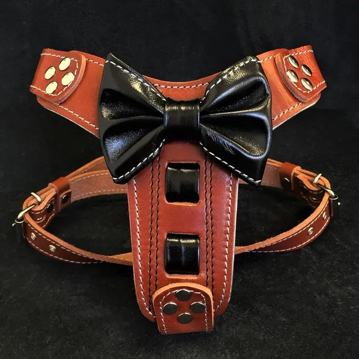 Bowtie Geschirr in Braun