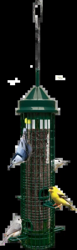 Brome Bird Care Squirrel Buster Classic