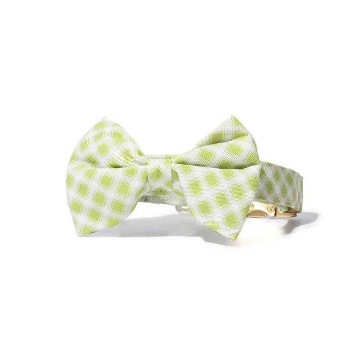 Bryce Bow Tie Dog Collar
