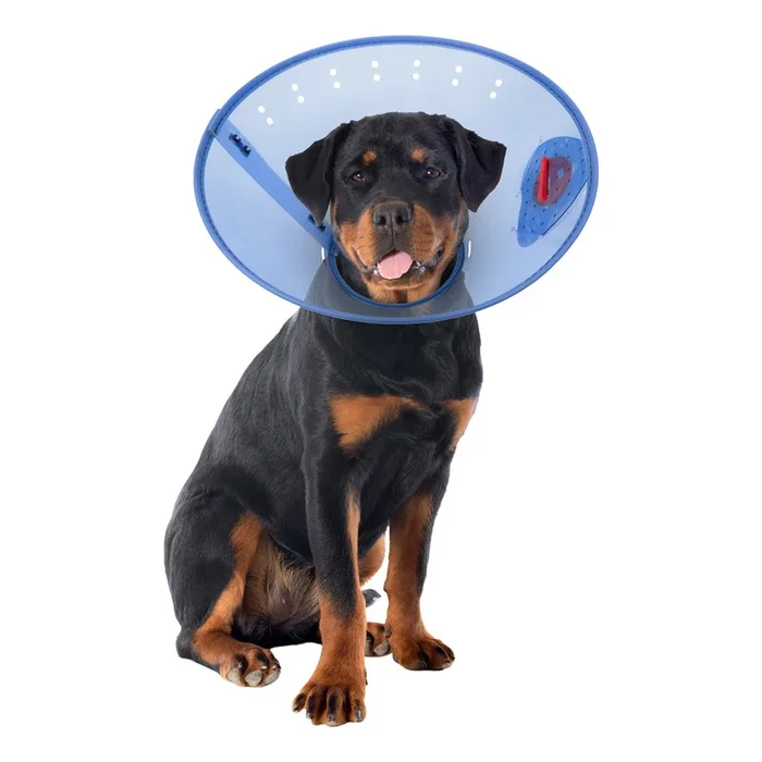Calm Paws E-Collar, Large, Fits 9.5