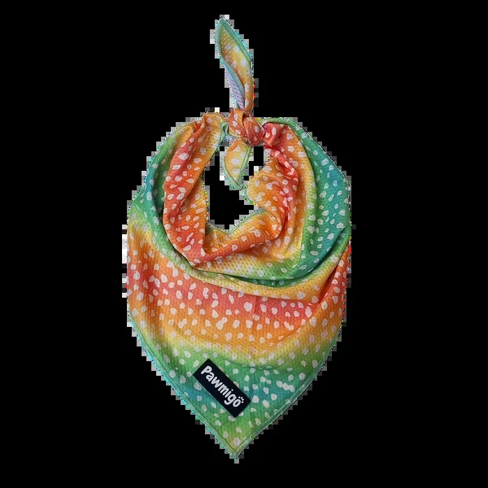 Chasing Rainbows Cooling Bandana