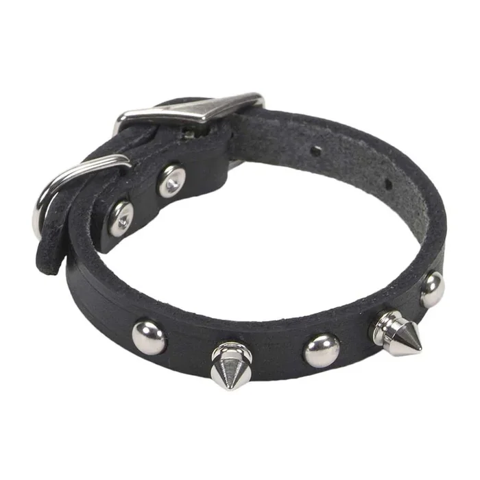 Circle T Oak Tanned Leather Spiked Dog Collar, Black, Medium