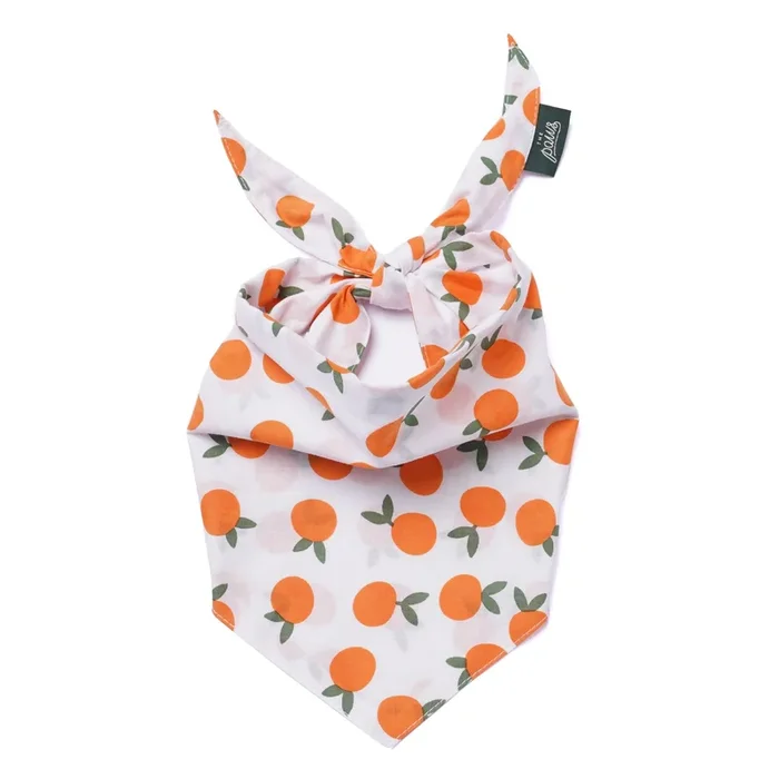 Clementine Dog Bandana
