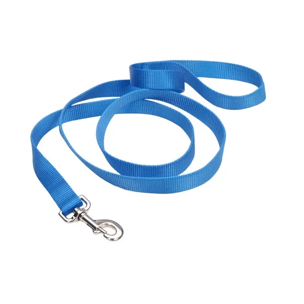 Coastal® Single-Ply Dog Leash, Light Blue 1″ x 6′