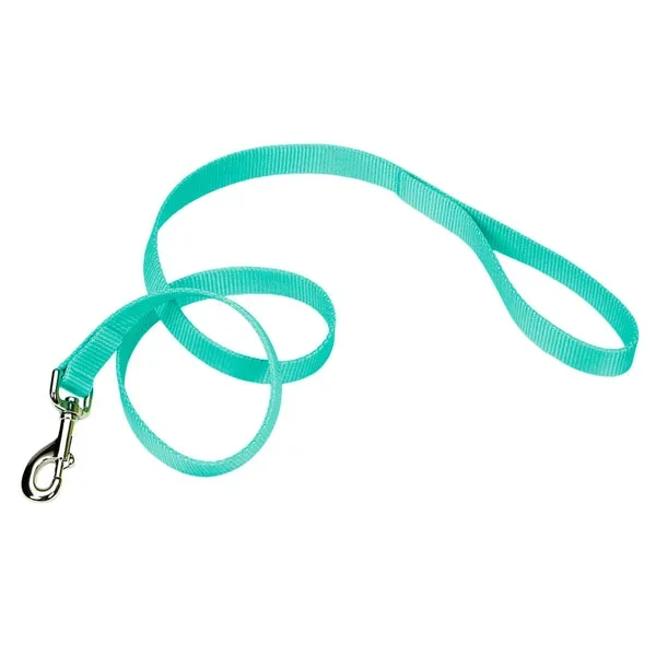 Coastal® Single-Ply Dog Leash, Teal 5/8″ x 6′