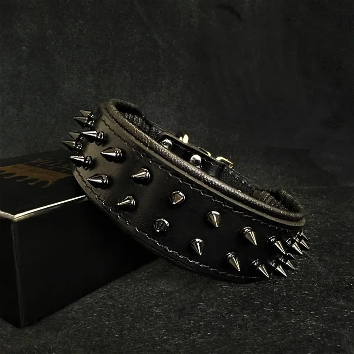 BLACK “Frenchie” collar