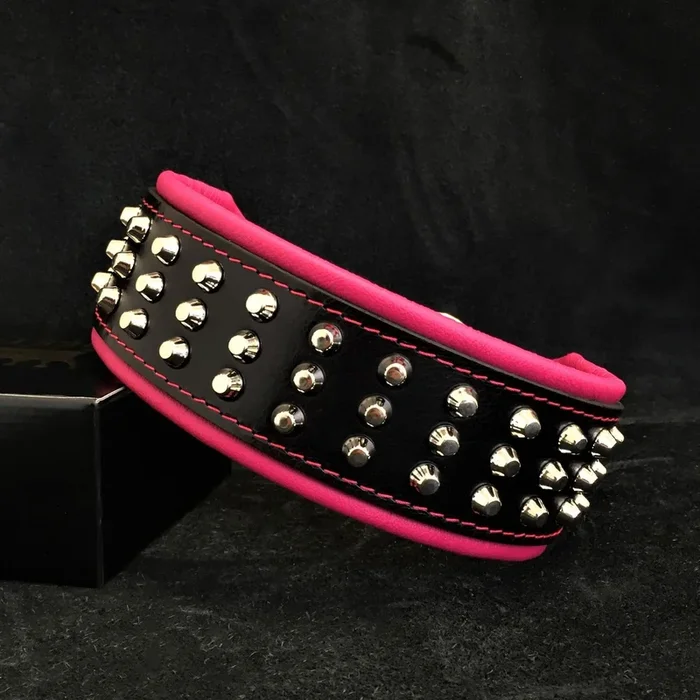 Das Hundehalsband „Stud“.