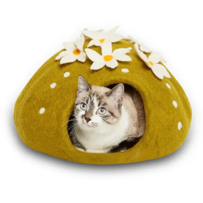 DDKC Cactus Bed