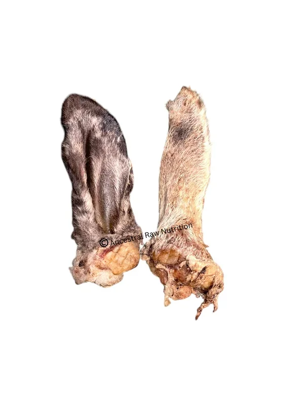 Dehydrated Lamb Ear