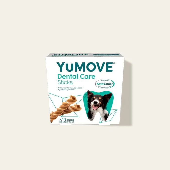 Dental Care Sticks