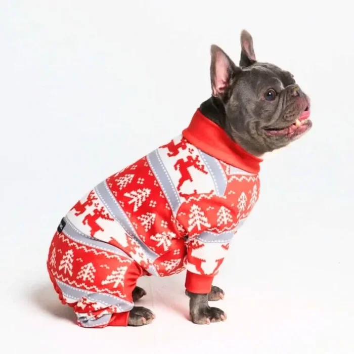 Dog Christmas Pajama – Winter Wonderland