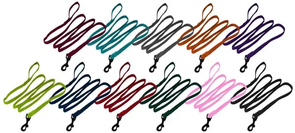 Dogline Nylon Flat Leash 4ft 5/8″