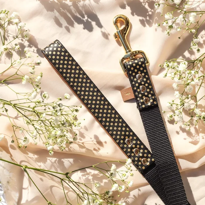 Dotty About You – Leash