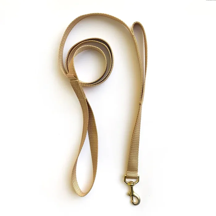 double handle 6′ long leash