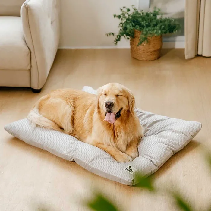 Dual-Sided Cozy Plush Calming Washable Dog Mats
