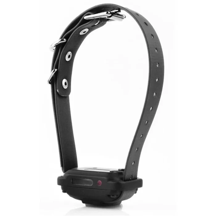 E-Collar Technologies – PG-300 Pager Only Receiver – Black – Additional Collar