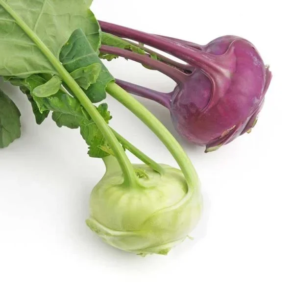 Early White Vienna Kohlrabi Vegetable Seed