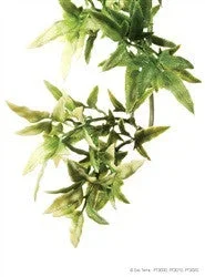 Exo Terra Plastic Plant Medium Croton Pt3010{L+7}