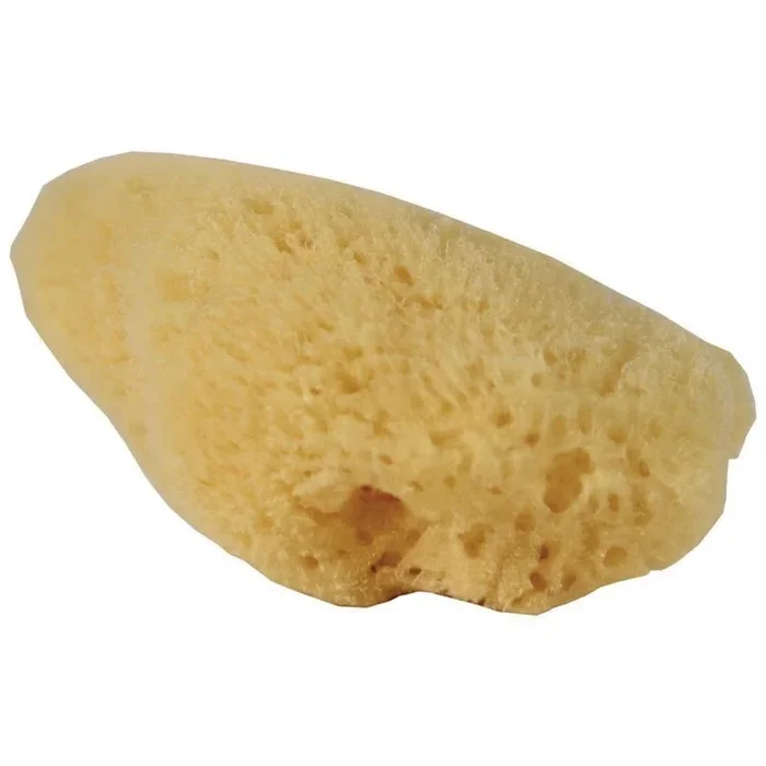 Fluker’s Natural Sea Sponge for Hermit Crabs