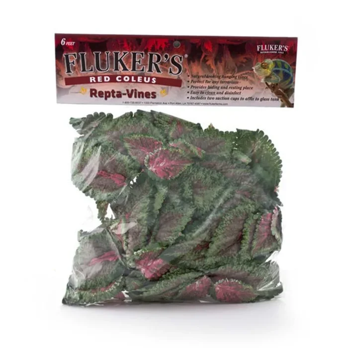 Fluker’s Red Coleus Repta-Vines